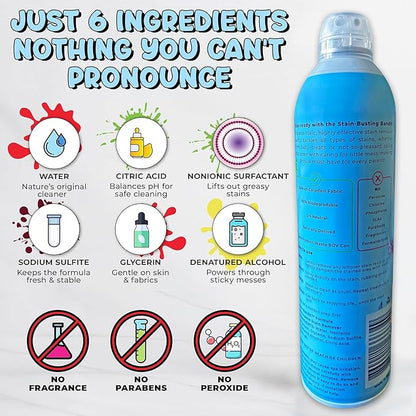 Stain Remover Spray | Non-Toxic Stain Remover Family Safe Formula | Bag-On-Valve 360° Continuous Spray Bottle | Cleaner for Clothes, Upholstery, Carpet & Car Seats 4.2 Oz, (Pack of 1)