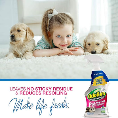 OdoBan Pet Solutions Oxy Stain Remover, Pet Stain Eliminator, Made in the USA, 12-Pack, 32 Ounce Spray Each