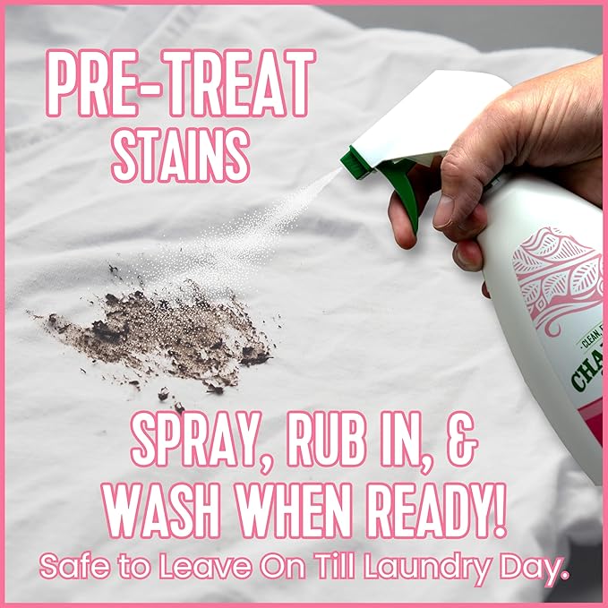 Charlie's Soap Laundry Pre-Spray Stain Remover (32 fl oz), Natural Laundry Pretreat and Stain Remover (Pack of 1)