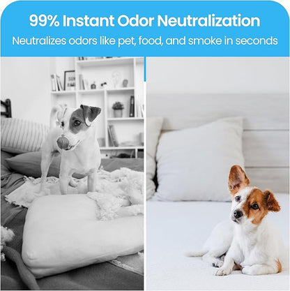 LAVONS Fabric Spray Freshener for Carpet Fresh, Pet Safe Linen Spray for Bedding, Organic Fabric Refresher Spray for Home & Offices, Natural Carpet Freshener from Japan, 12.5 Fl Oz BLOOMING BLUE