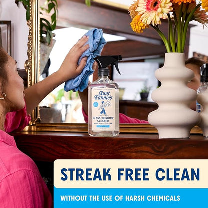Aunt Fannie's Glass & Window Cleaning Vinegar Spray, Natural Streak-Free Spray, 16.9 Ounces (Pack of 6)