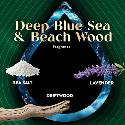 Air Wick Vibrant Scented Oils Plug In Scented Oil Refill, Infused with Essential Oils, Plug In Air Fresheners for Home, Blue Sea & Beach Wood, 4 ct