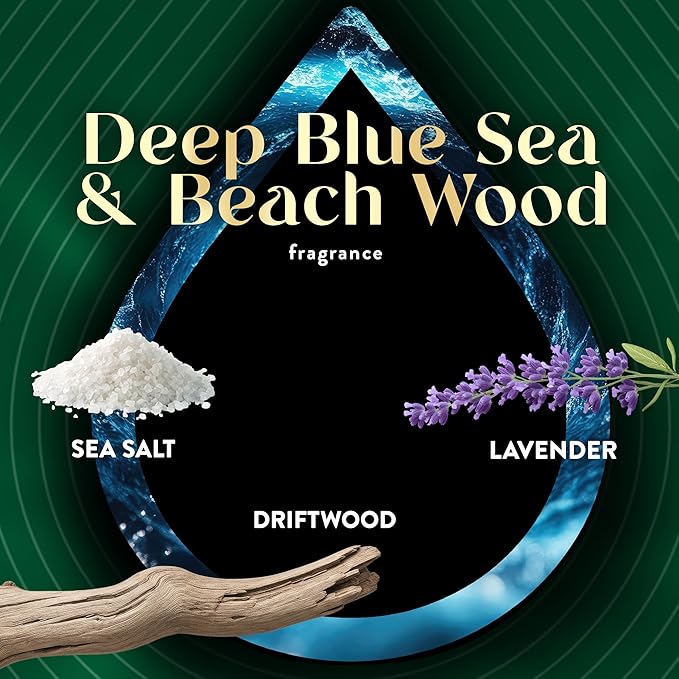 Air Wick Vibrant Plug In Scented Oil Refill,Infused with Essential Oils,Plug In Air Fresheners for Home,Deep Blue Sea & Beach Wood,5 ct,(Pack of 2)