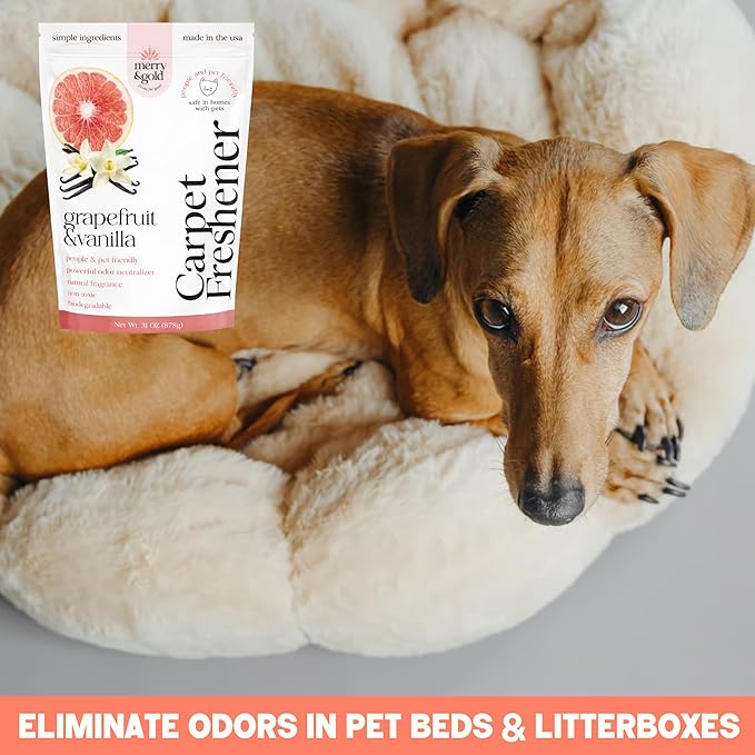Merry & Gold Carpet Freshener & Deodorizer Powder - 31oz | Grapefruit Vanilla |Pet Odor Eliminator for Strong Odors | Safe in Homes with Pets | Made in USA | Natural Ingredients (Grapefruit & Vanilla)