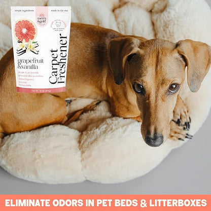 Merry & Gold Carpet Freshener & Deodorizer Powder - 31oz | Grapefruit Vanilla |Pet Odor Eliminator for Strong Odors | Safe in Homes with Pets | Made in USA | Natural Ingredients (Grapefruit & Vanilla)