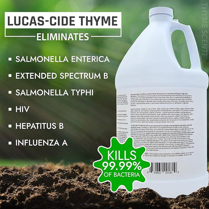 LUCAS-CIDE Ready To Use All Purpose Cleaner - Home Essentials Cleaning Supplies For Everyday Hygiene - Thyme Scented Disinfecting Bathroom Cleaner, Glass Cleaner, Floor Cleaner, etc.
