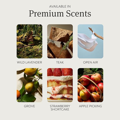 Drift Home Scent Diffuser Refills in Grove (2 Refills) - Adjustable and Long Lasting Diffuser Aroma - Clean Ingredients, Pet Safe