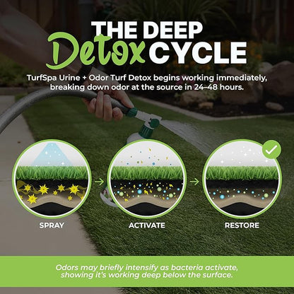 Urine & Odor Turf Detox: 2-Pack of 32 oz Professional Enzyme Cleaner & Odor Eliminator for Artificial Grass, Turf, Concrete, Patio & Kennels, Pet Urine Enzymatic Cleaner for Dogs & Cats