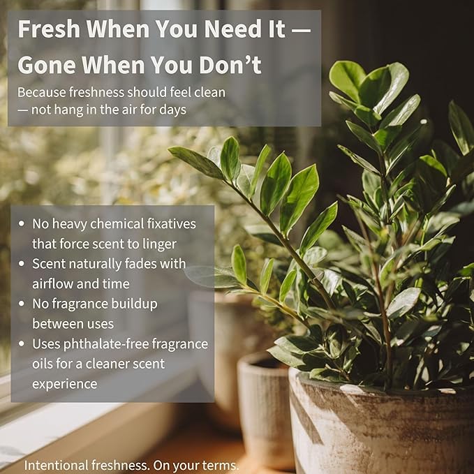 Lapew Sage & Stone Carpet Deodorizer Powder - Pet Safe Freshener for Vacuuming | Scented Odor Eliminator for Home | 36 oz