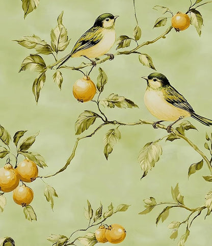 Green Bird Wallpaper Peel and Stick, Vintage Botanical Fruits Contact Paper, Retro Floral Boho Wall Paper Self Adhesive Removable Waterproof for Bedroom Walls Shelf Cabinet Drawer Table 17.5" x 118"