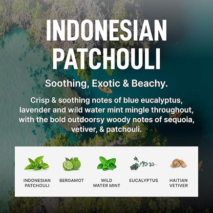 Laundry Sauce Fabric Refresher Spray Indonesian Patchouli, Odor-Fighting Fabric Refresher, Fragrance and Laundry Scent, 9.8 fl oz