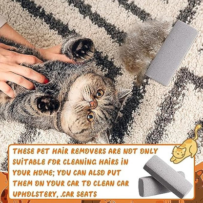 Abbylike 3 Pcs Pet Hair Remover Pumice Stone Reusable Portable Dog Cat Hair Removal Tool Scraper for Carpet,Couch, Bedding, Car Upholstery, Furniture Cleaning (6.1 x 2.56 x 1.4 Inch,Gray)
