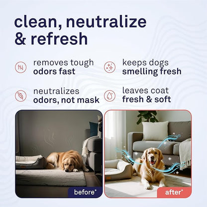 Petpost | Pet Odor Eliminator Spray for Dogs & Cats - Naturally Effective Deodorant and Bad Smell Killer - For Spraying Your Pet or Around the Home 8 oz.