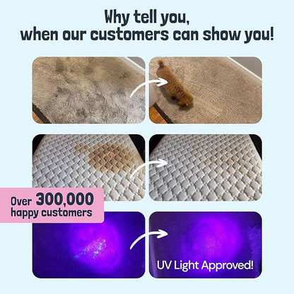 Sunny & Honey Carpet Cleaner Solution - Deep Stain Remover & Odor Deodorizer - Pet Carpet Cleaner & Rug Shampoo (32 Fl Oz, Light Lavender)