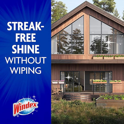 Windex Outdoor Window and Glass Cleaner for Hose Ammonia Free, Concentrated Formula for Deep Outdoor Clean, Patio Cleaner, Compatible With All Hoses, 32 Fl Oz (Pack of 2)