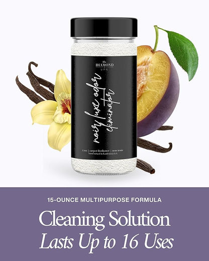 Home Noir Luxe Carpet Deodorizer Powder - Natural Odor Eliminator for Carpet, Upholstery, Pet Urine - Pet-Friendly - Black Plum, Sea Salt & Ozone Scent, Spring Cleaning