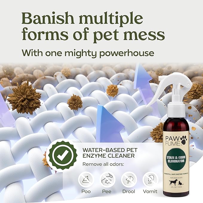 PAWFUME Stain & Pet Urine Odor Eliminator, 1-Pack – Removes Impurities in Seconds – Enzymatic Formula, Quick-Dry Action, & Eco-Friendly Ingredients – Upholstery, Fabrics, and Carpet Cleaner Spray