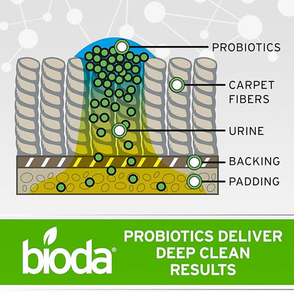 Bioda Commercial Strength Enzymatic Stain & Odor Eliminator for Pets | Industrial-Grade Formula Removes Dog and Cat Urine | USA Made Carpet Spot Cleaner | 32oz Sprayer