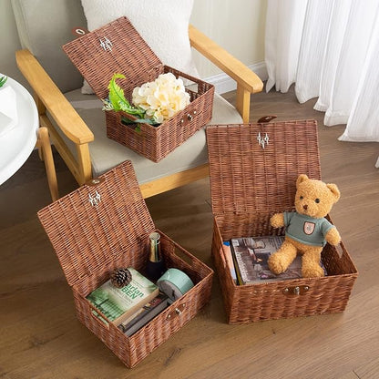 Set of 3 Woven Wicker Storage Basket Box with Lids & Lock, Built-in Carry Handles, Multifunctional Storage Organizer for Nursery, Baby, Clothes, Toys, Books, Large/Medium/Small Size (Natural)