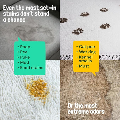 Sunny & Honey Turbo Pet Stain and Odor Remover - 40% More Enzymes - Enzyme Cleaner for Dog Urine and Poop on Carpets and Furniture - Pet Carpet Cleaner Spray (32fl oz Mint)