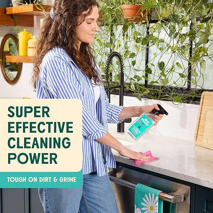 Aunt Fannie's All Purpose Household Cleaner, Multi-surface Spray, Powered by Vinegar for Kitchen, Bath, Windows and Countertops, Lemon Scent (Refill)