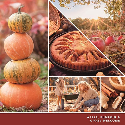 Yankee Candle ScentPlug Refill for Plug in Air Fresheners, Scented Oil Refills, Long Lasting Home Fragrance, Apple Pumpkin (Pack of 4)