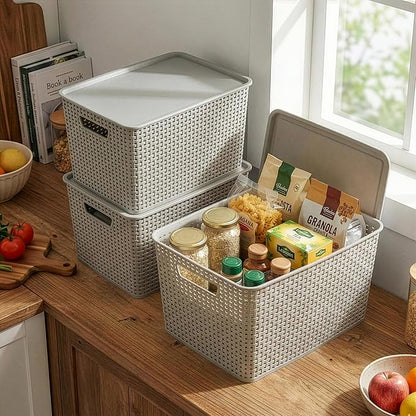 BINO | Plastic Storage Baskets with Lids, 22 Liter - 3 Pack, Natural Grey | THE WOVEN COLLECTION | Storage Basket for Shelves | Woven Storage Baskets for Organizing Bins | Pantry Shelf Organizer Bin
