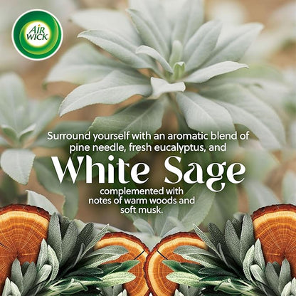 Air Wick Vibrant Plug In Scented Oil Warmer + Refills, Infused with Essential Oils, Plug In Air Fresheners for Home, Mixed Pack, Gadget + 3 ct