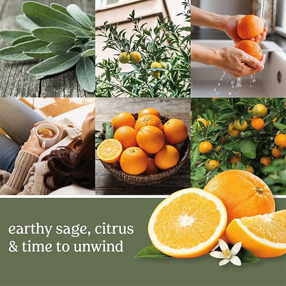 Yankee Candle ScentPlug Refill for Plug in Air Fresheners, Scented Oil Refills, Long Lasting Home Fragrance, Sage & Citrus (Pack of 4)
