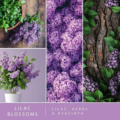 ScentSationals Lilac Blossoms Fragrance Oil Plug In Air Freshener Refills 3-Pack - Works with Scentsationals Wall Plugs, Long-Lasting Home Fragrance, 0.8 fl oz Each, Packaging May Vary