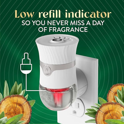 Air Wick Vibrant Plug In Scented Oil Warmer + Refills, Infused with Essential Oils, Plug In Air Fresheners for Home, White Sage & Mahogany, Gadget + 3 ct