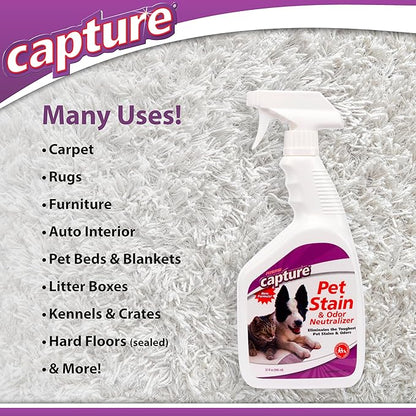 Capture Pet Stain & Odor Remover - Enzyme Pet Odor Eliminator for Home, Carpet Stain Remover for Cats & Dog Pee, Cat Urine Destroyer, Carpet Cleaner Spray - 32oz Portable Spray Bottle (2 Pack)