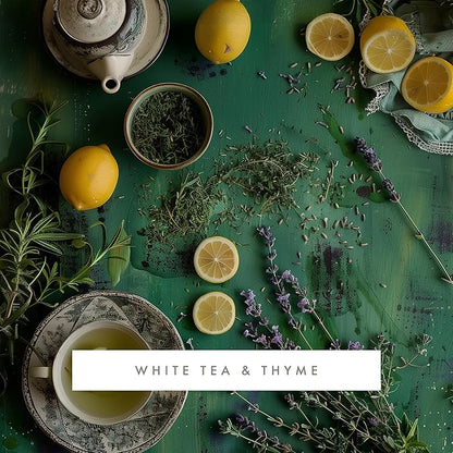 ScentAir Whisper Home Monthly Plug-in Refill, Fragrance Cartridge for Home and Office, White Tea & Thyme