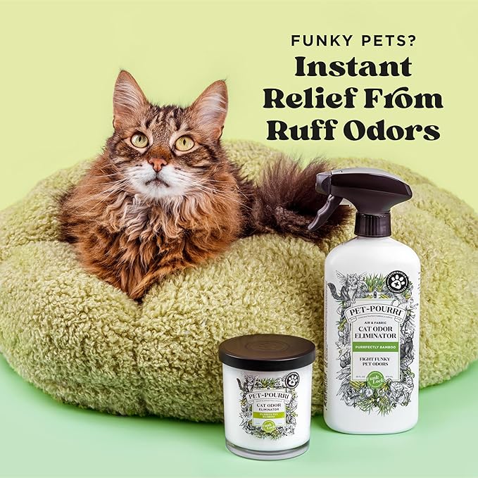 Pet-Pourri Smell Ya Litter Cat Litter Deodorizer Spray, Purrfectly Bamboo 3.4 Fl Oz, Up to 170 Uses, Pet Odor Remover with Essential Oils for Air, Carpet, Urine, Vet Recommended, Bergamot Bamboo Scent