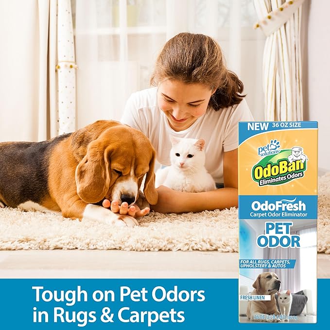 OdoBan OdoFresh Carpet and Room Deodorizer Powder for Home Smells and Odors Including Smoke, Pet Urine, Dogs, and Cat Litter, Made in the USA, Fresh Linen Scent, 36 Ounces, Pack of 6