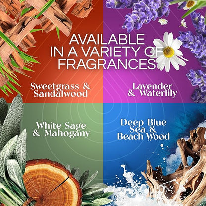 Air Wick Vibrant Plug In Scented Oil Warmer + Refills, Infused with Essential Oils, Plug In Air Fresheners for Home, Deep Blue Sea & Beach Wood, Gadget + 3 ct