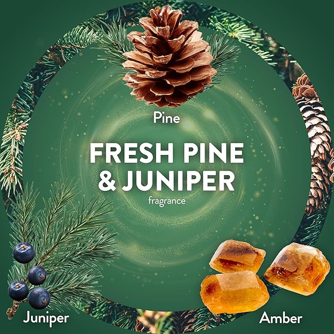 Air Wick Plug-In Scented Oil Refill, 5 Ct, Fresh Pine and Juniper, Air Freshener, Essential Oils, Fall Scent, Fall Décor