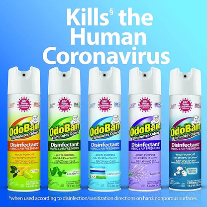 OdoBan Ready-to-Use 360-Degree Continuous Spray Disinfectant & Harsh Aroma Eliminator, Fabric and Air Freshener, Made in the USA, Original Eucalyptus Scent, 14.6 Ounces