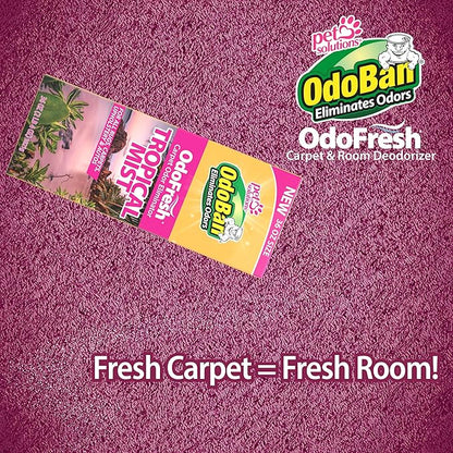 OdoBan OdoFresh Carpet and Room Deodorizer Powder for Home Smells and Odors Including Smoke, Pet Urine, Dogs, and Cat Litter, Made in the USA, Tropical Scent, 36 Ounces, Pack of 6